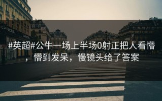 #英超#公牛一场上半场0射正把人看懵，懵到发呆，慢镜头给了答案