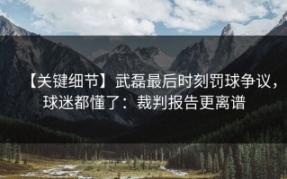 【关键细节】武磊最后时刻罚球争议，球迷都懂了：裁判报告更离谱