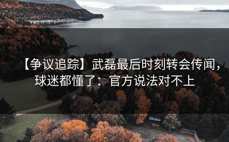 【争议追踪】武磊最后时刻转会传闻，球迷都懂了：官方说法对不上-第1张图片-开云体育官方网站登录 - 用户专属入口