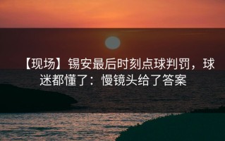 【现场】锡安最后时刻点球判罚，球迷都懂了：慢镜头给了答案