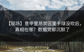 【现场】意甲里昂禁区里手球没吹后，真相在哪？数据党都沉默了