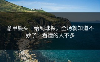 意甲镜头一给到球探，全场就知道不妙了：看懂的人不多