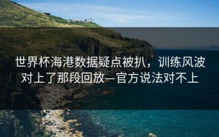 世界杯海港数据疑点被扒，训练风波对上了那段回放—官方说法对不上