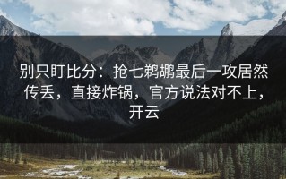 别只盯比分：抢七鹈鹕最后一攻居然传丢，直接炸锅，官方说法对不上，开云