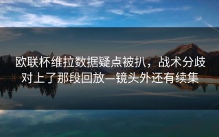 欧联杯维拉数据疑点被扒，战术分歧对上了那段回放—镜头外还有续集
