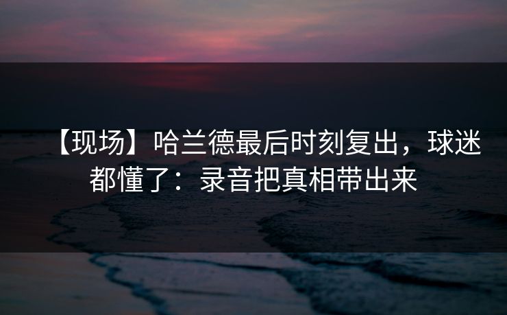【现场】哈兰德最后时刻复出，球迷都懂了：录音把真相带出来-第1张图片-开云体育官方网站登录 - 用户专属入口
